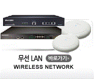 무선 LAN